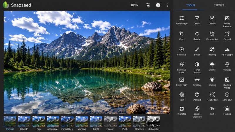 Snapseed mobile photo editing app interface with professional editing tools